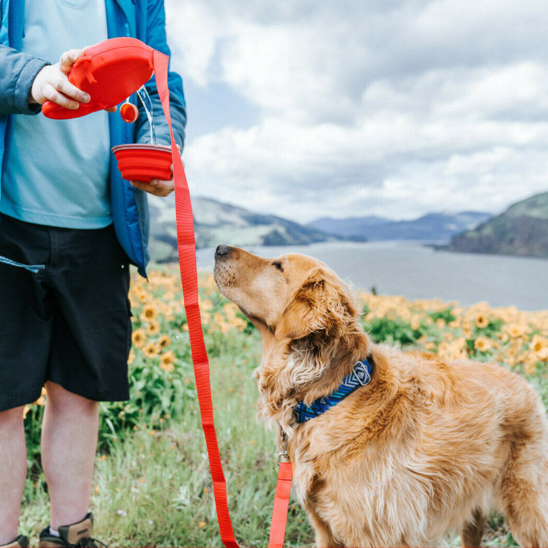 Multifunctional Pet Leash with bowl and water bottle