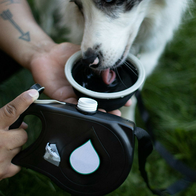 Multifunctional Pet Leash with bowl and water bottle